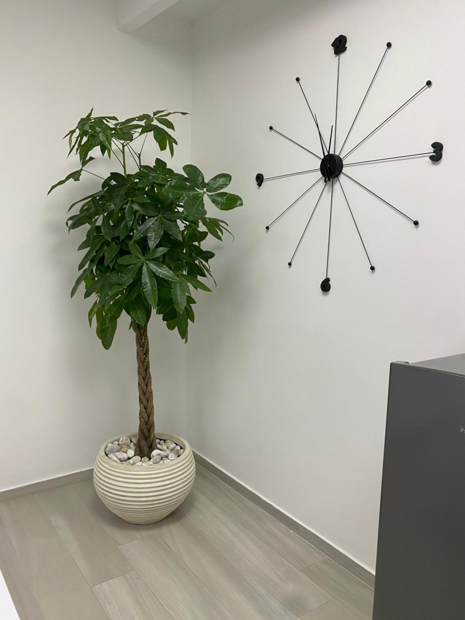 Casa Vacanza 나폴리 외부 사진